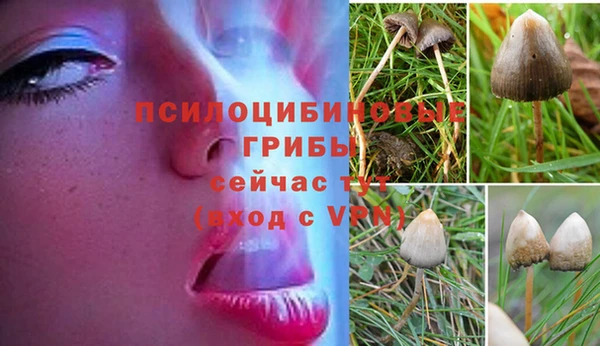 бутират Аркадак
