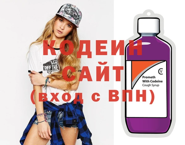 индика Нягань