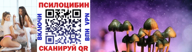 где продают наркотики Тейково Галлюциногенные грибы мицелий